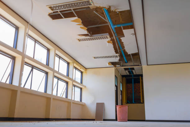 Best Sewage cleanup and water damage restoration  in Prescott, AZ