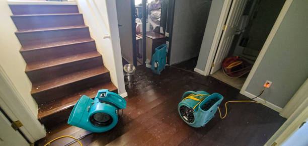 Carpet water damage restoration in Prescott, AZ