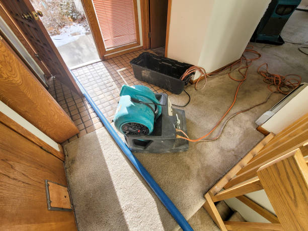 Best Commercial water damage restoration  in Prescott, AZ