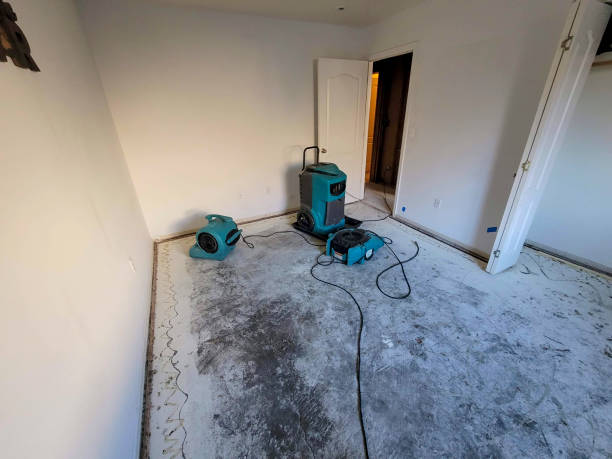 Best 24-hour water damage restoration  in Prescott, AZ