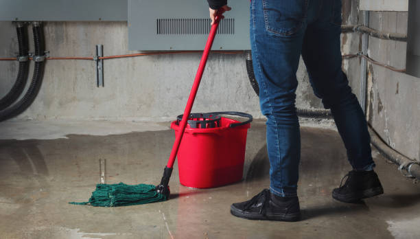 Best 24-hour water damage restoration  in Prescott, AZ