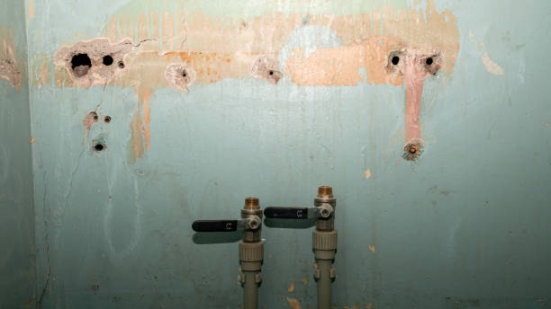 Best Fire Damage Restoration  in Prescott, AZ