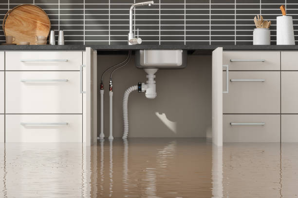 Best Water damage restoration near me  in Prescott, AZ