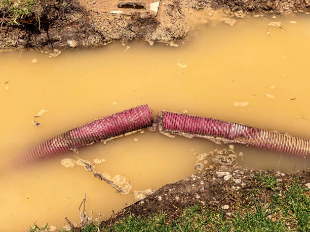  Prescott, AZ Water damage restoration Pros